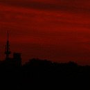 FG Mannheim 17 Bartmann Horst F